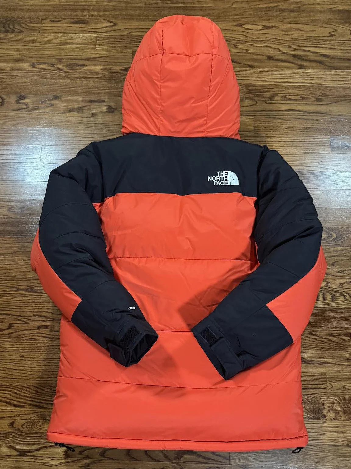 back of TNF Himilyan .jpg