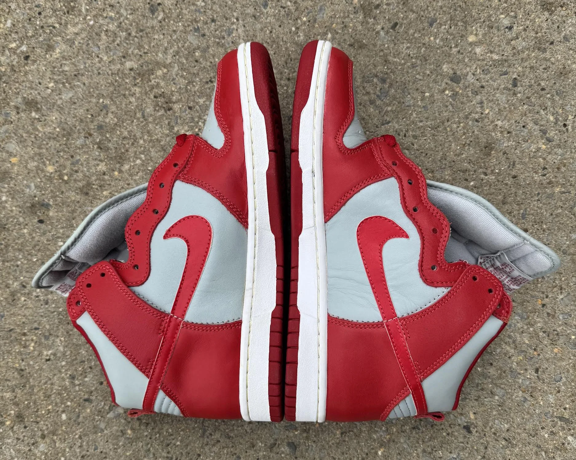 side of Nike Dunk .jpg