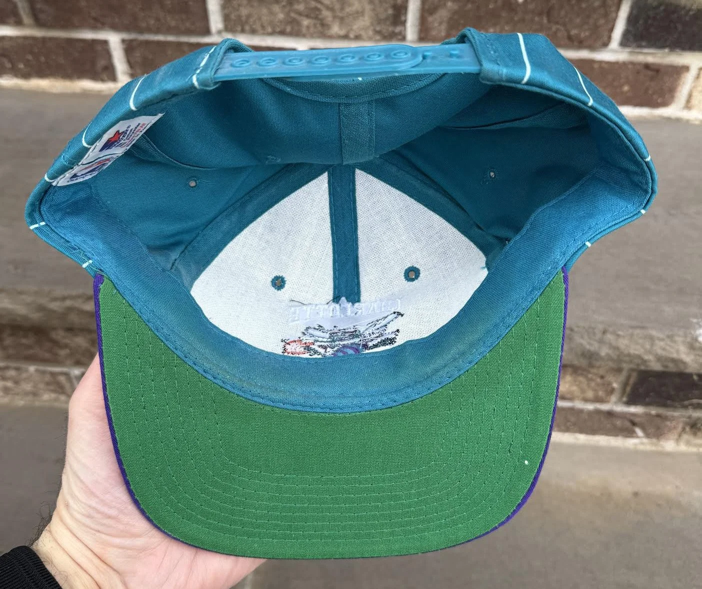 back of Hornets Snapback .jpg