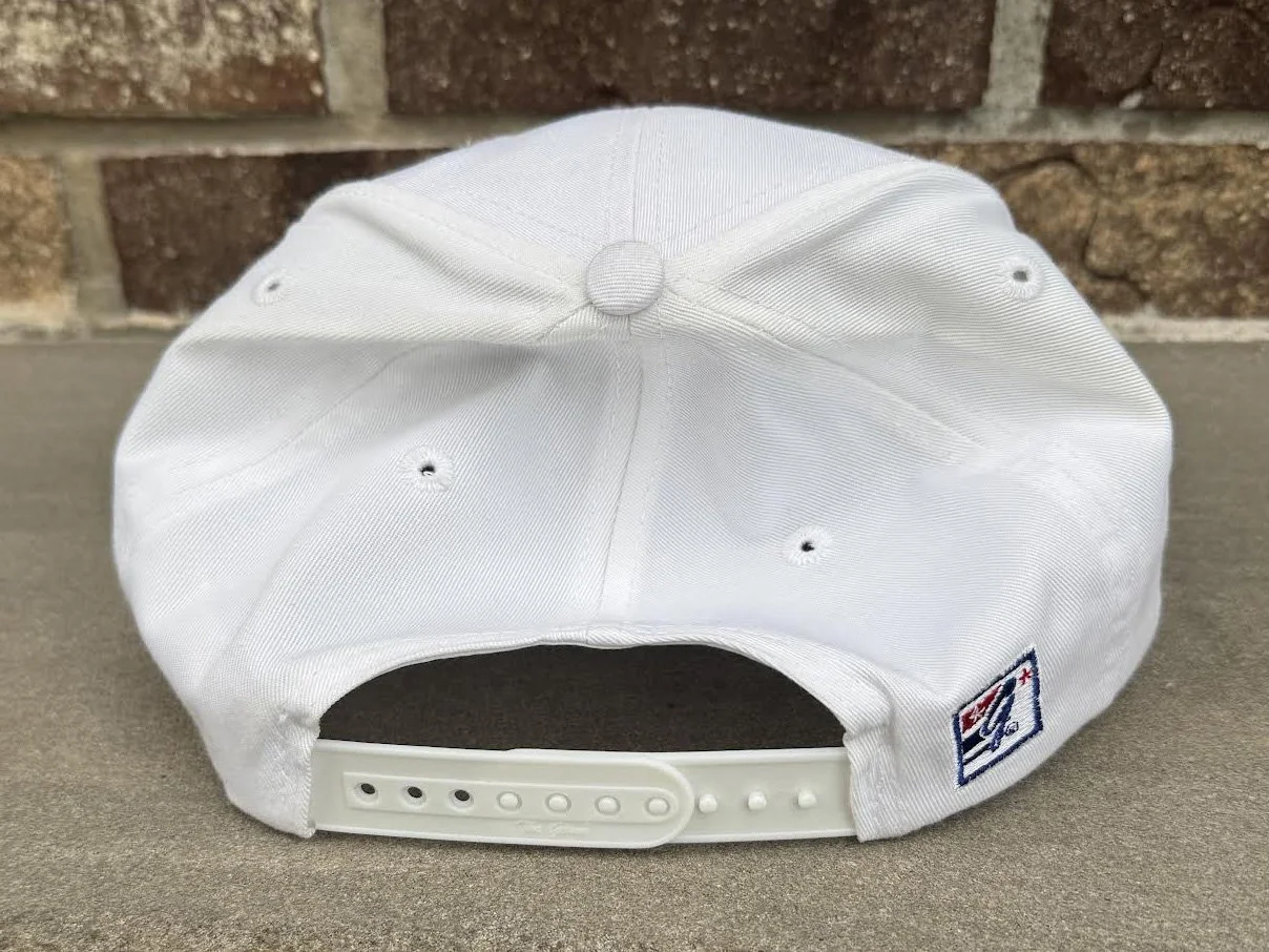 back of the game snapback.jpg