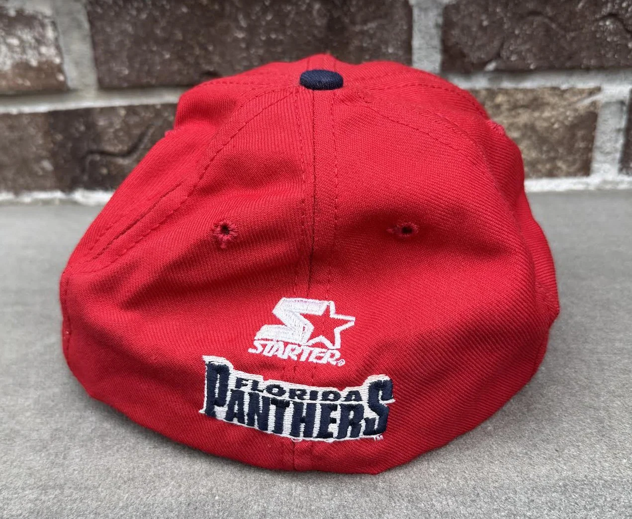 back of Panthers Starter.jpg