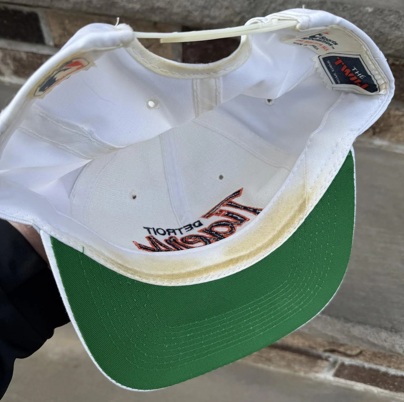 inside of Tigers cap .jpg