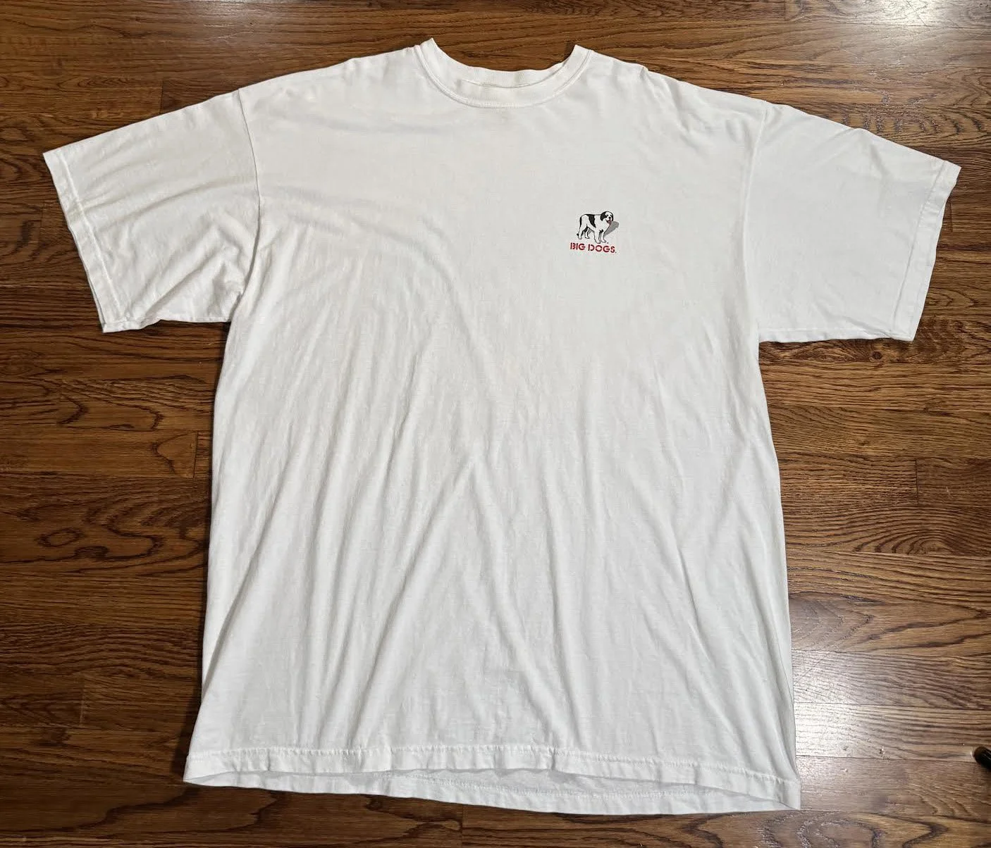 front of Big dogs tee.jpg