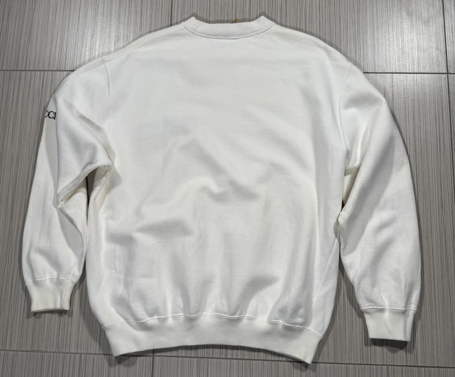 back of gucci sweatshirt.jpg