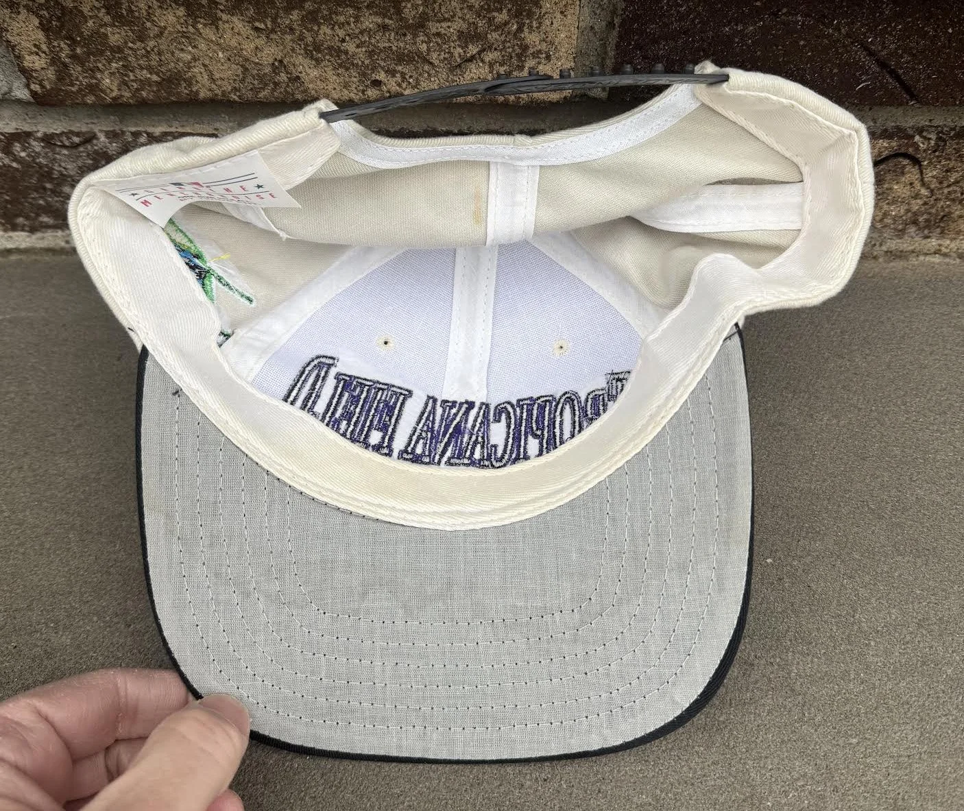 inside of Rays hat.jpg
