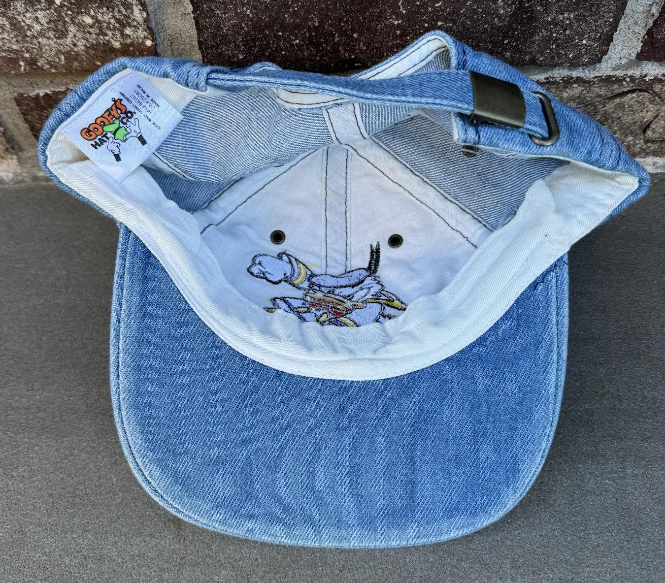 inside of donald duck cap.jpg