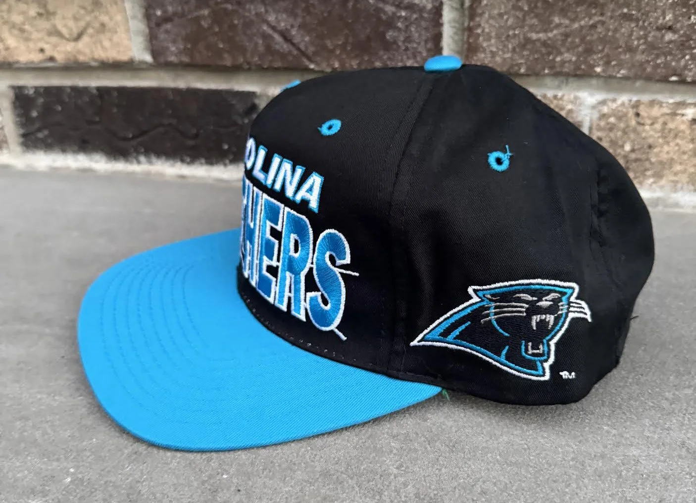 Side of Panthers hat.jpg