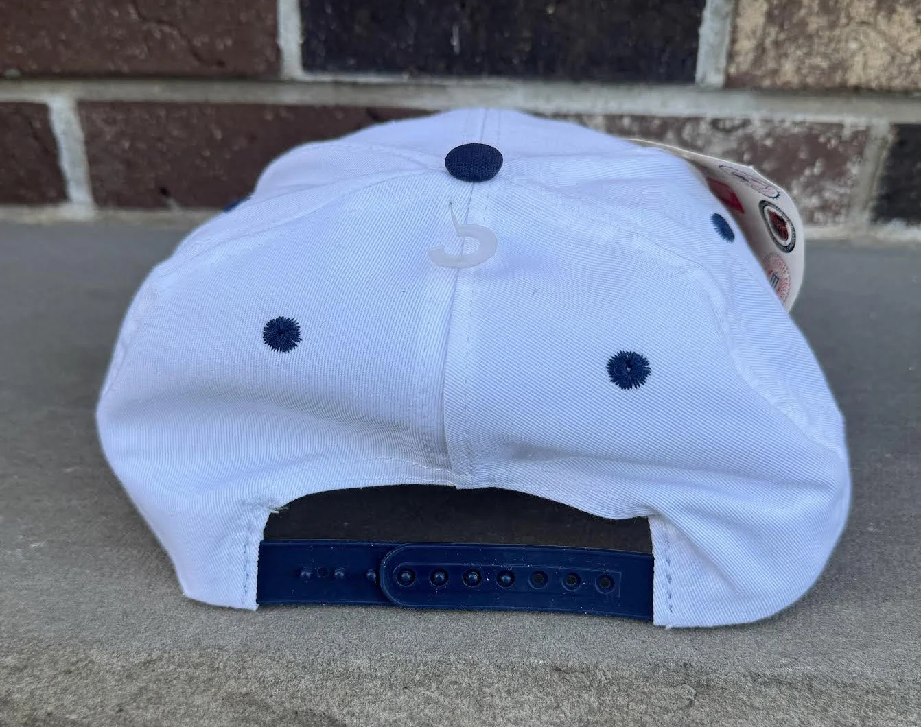 back of Sharktooth cap.jpg