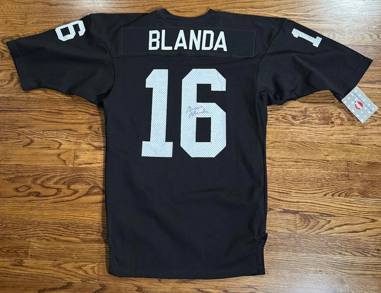 back of George Blanda jersey .jpg
