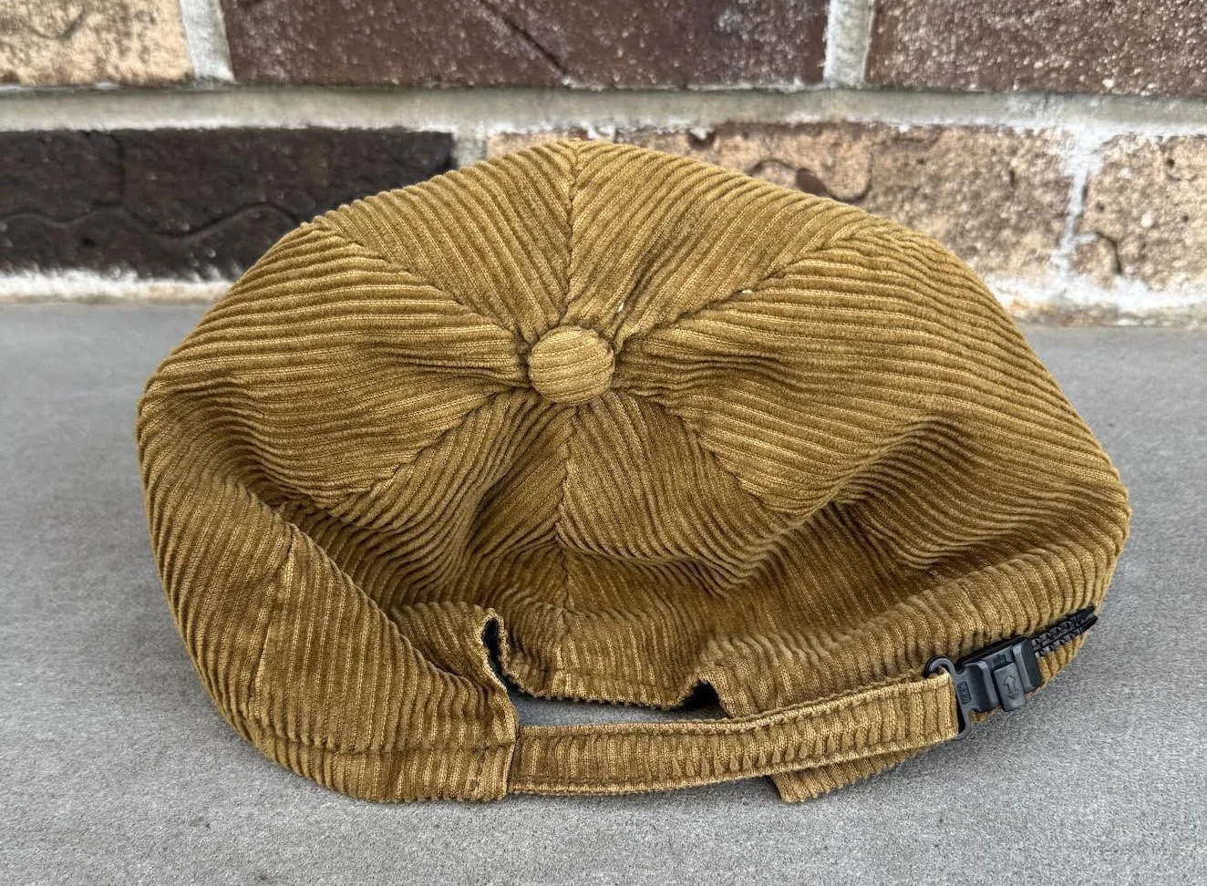 Zipperback.jpg