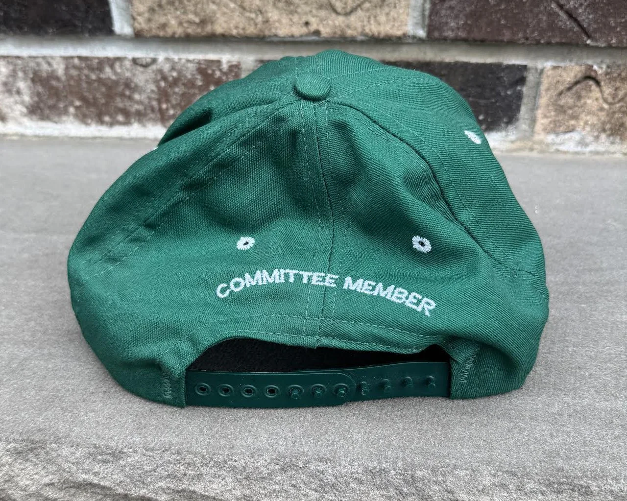 Committee Member hat.jpg