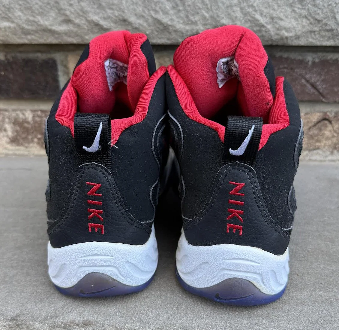 back of Nilke WInged Flight .jpg