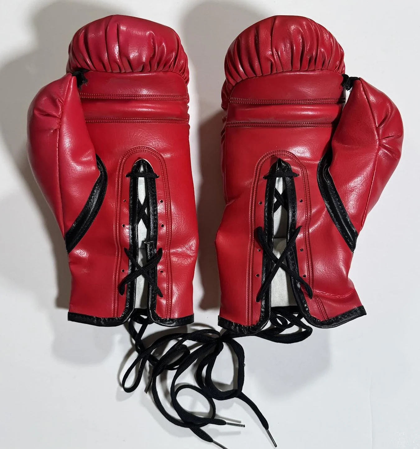 inside of Everlast boxing gloves .jpg
