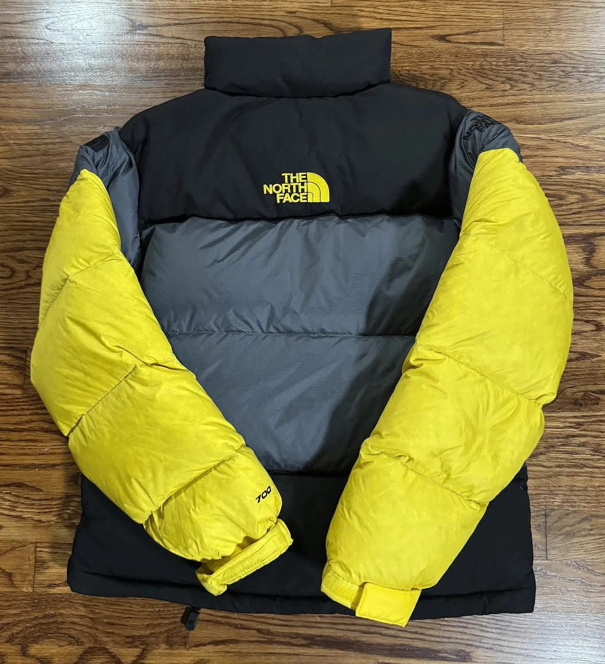 back of Steep Tech Winter Jacket.jpg
