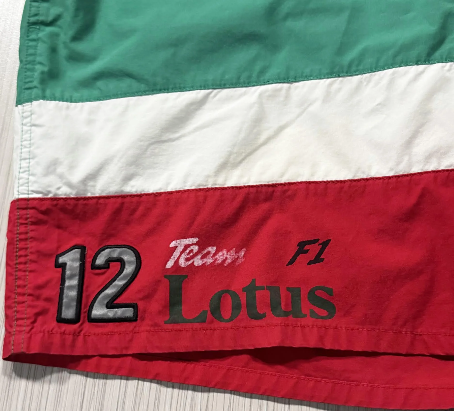 12 Team Lotus F1 Logo.jpg