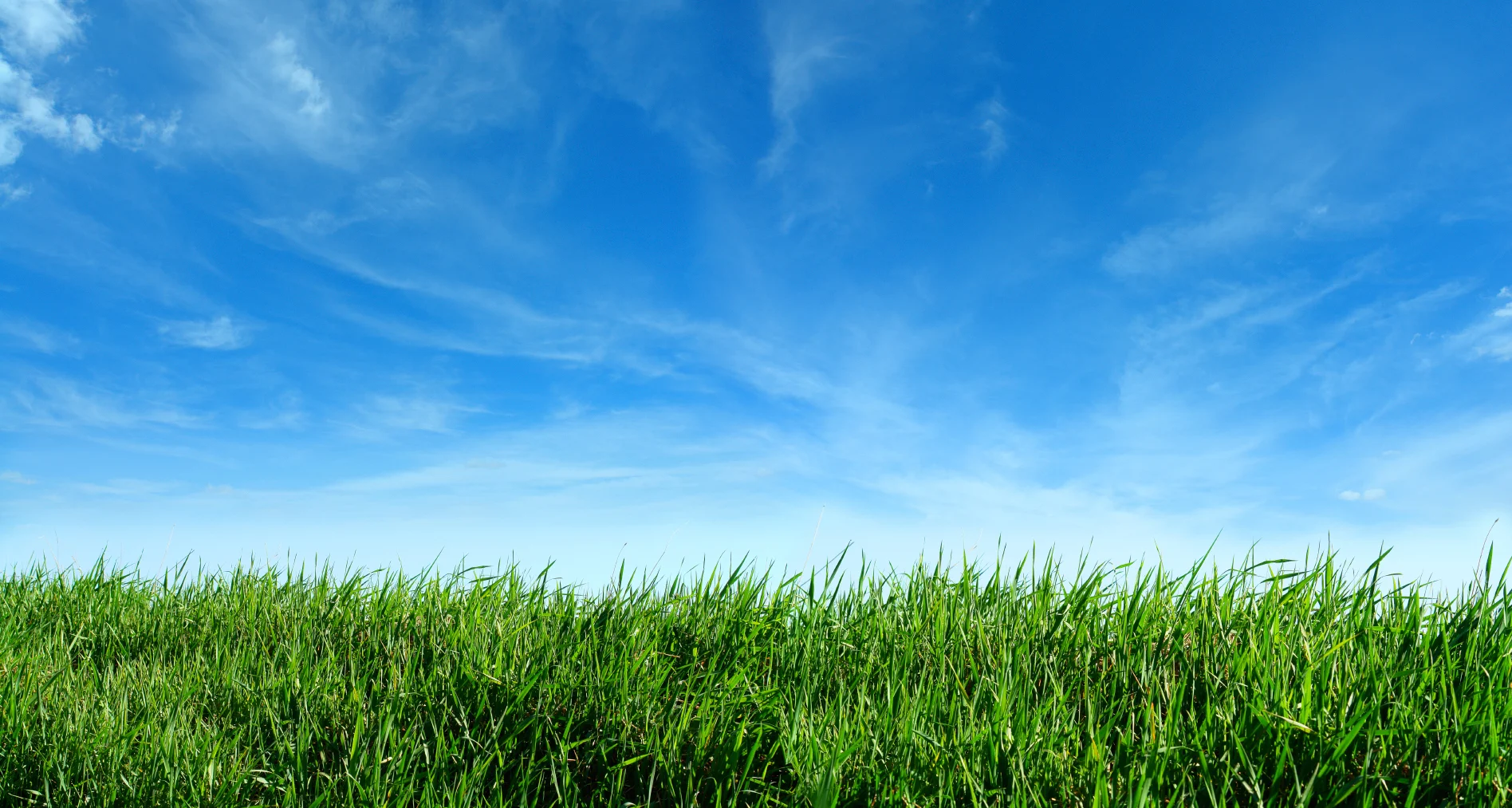 SummerSky&Grass22613.jpg