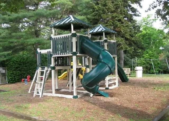 jungle+gym.jpg