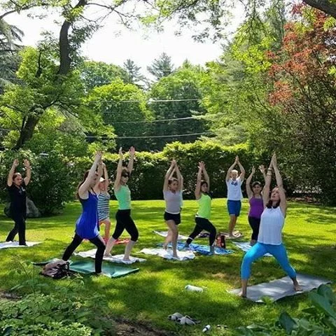 Dreaming of &quot;Yoga Under The Pines&quot;. #summer #roslyn #roslynpines2016 #yogaeverydamnday #summer2016