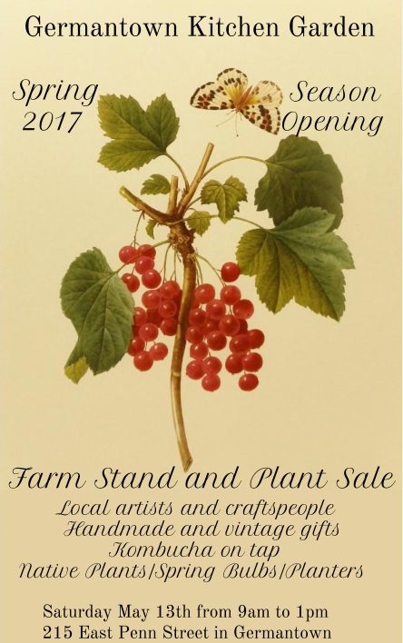 Ghost Flowers Vintage at the Germantown Kitchen Garden