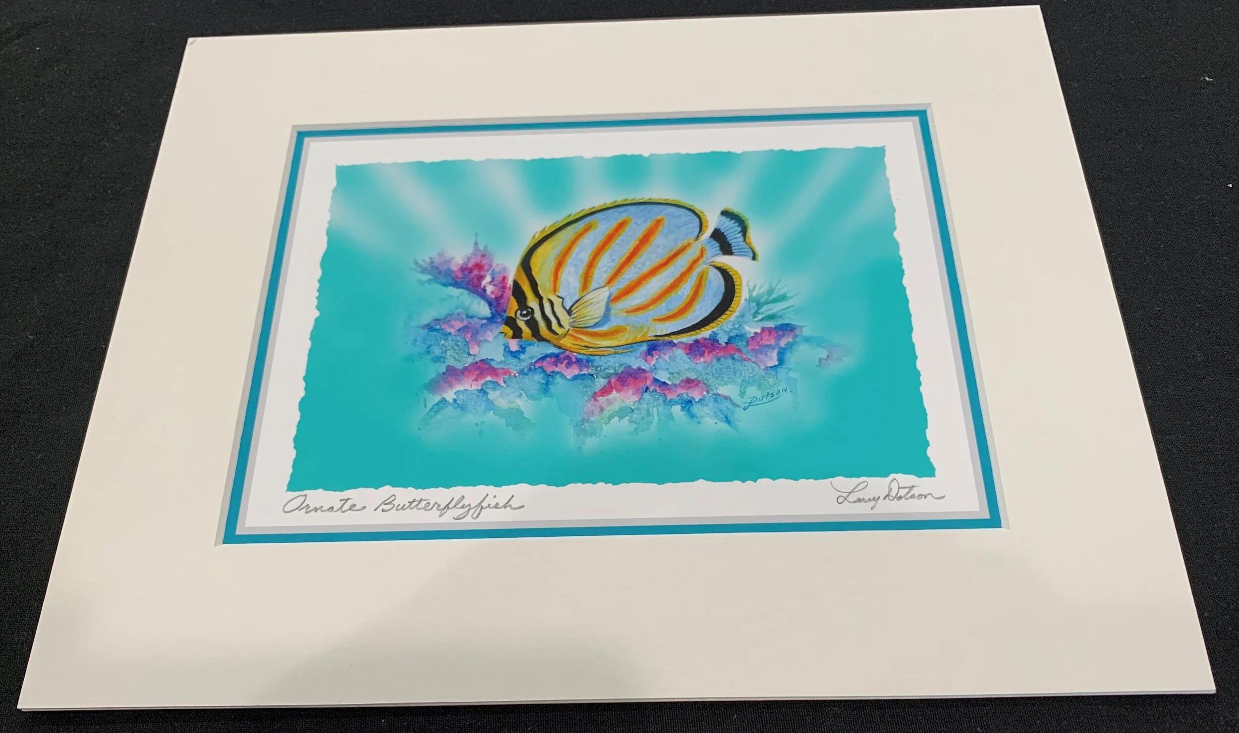 Ornate Butterflyfish
