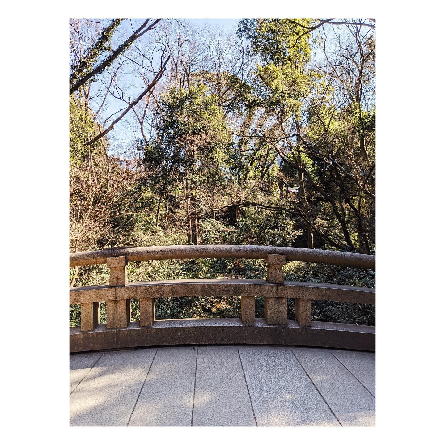 Meiji Jingu, our last day in Tokyo, February 2020 🍃