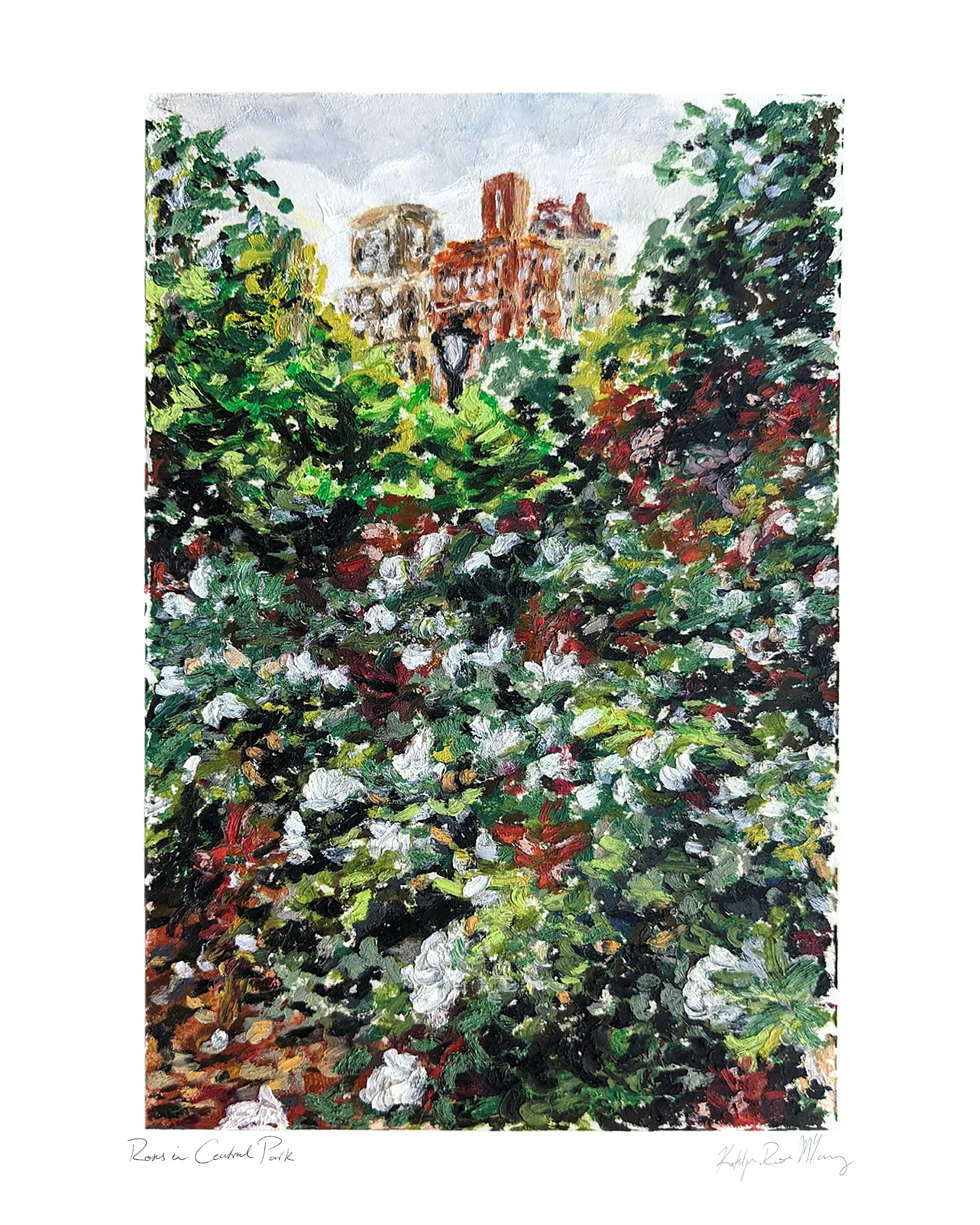 2nd - roses in central park 8x10.jpg