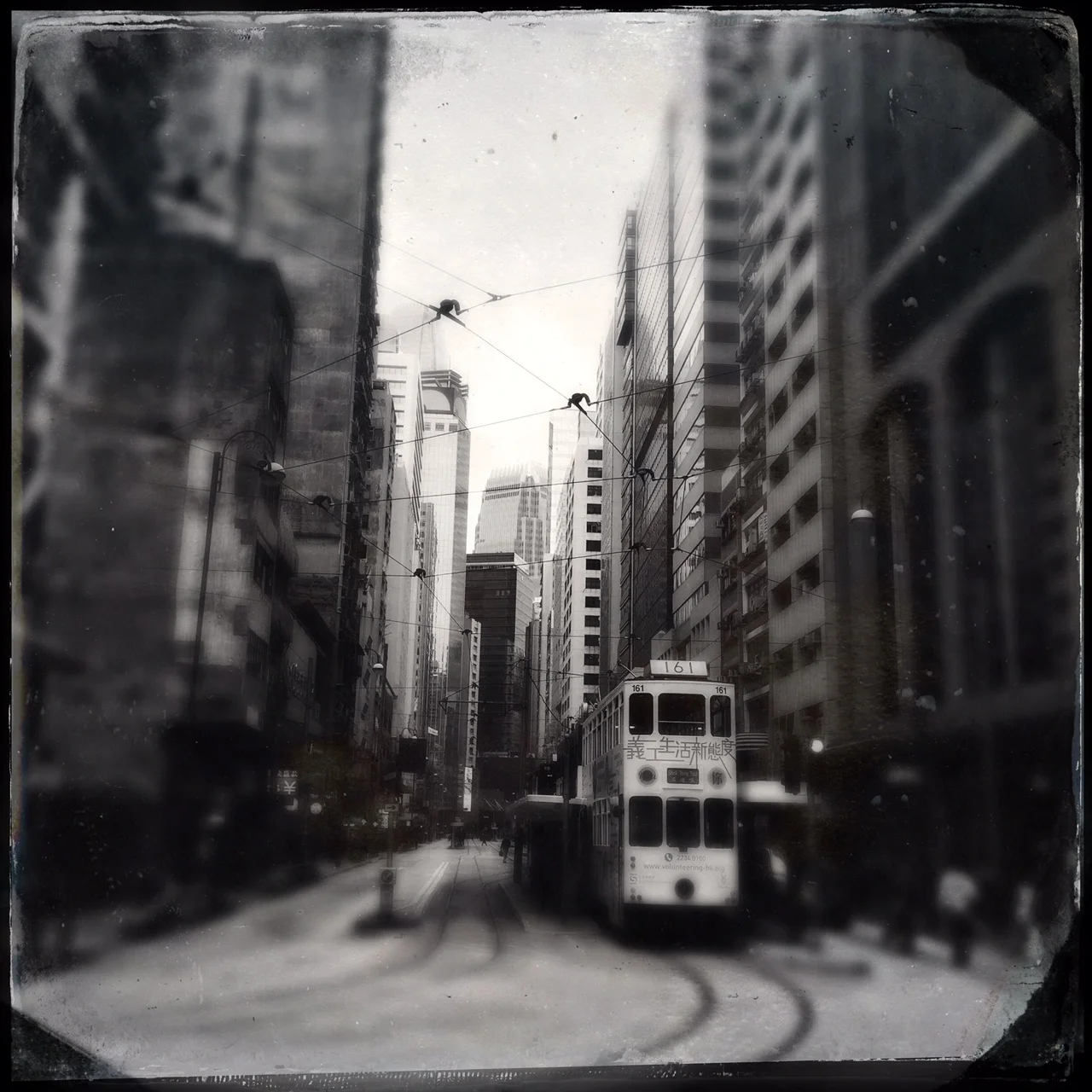 Hong Kong