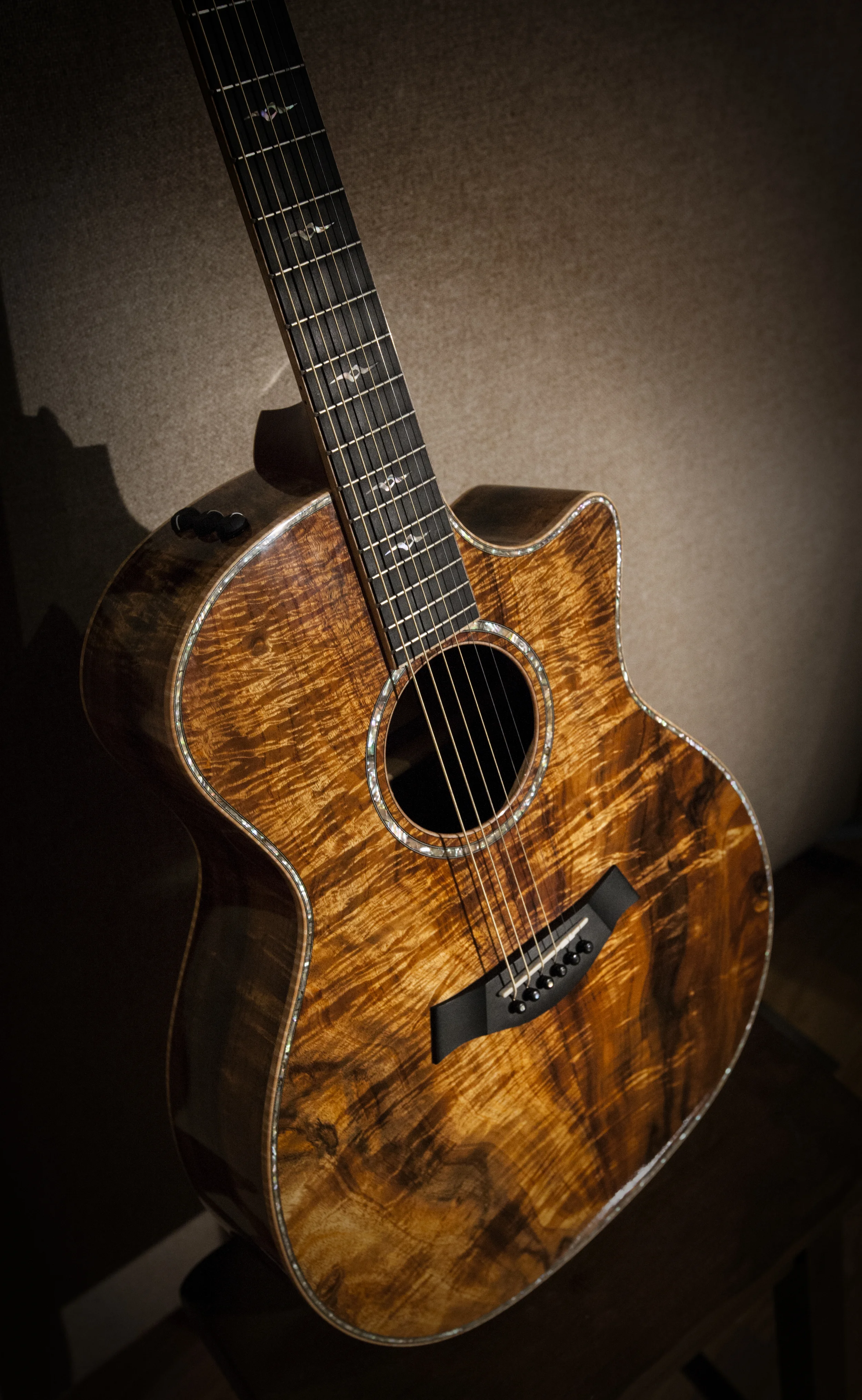 VJ7G0188 - Taylor.JPG