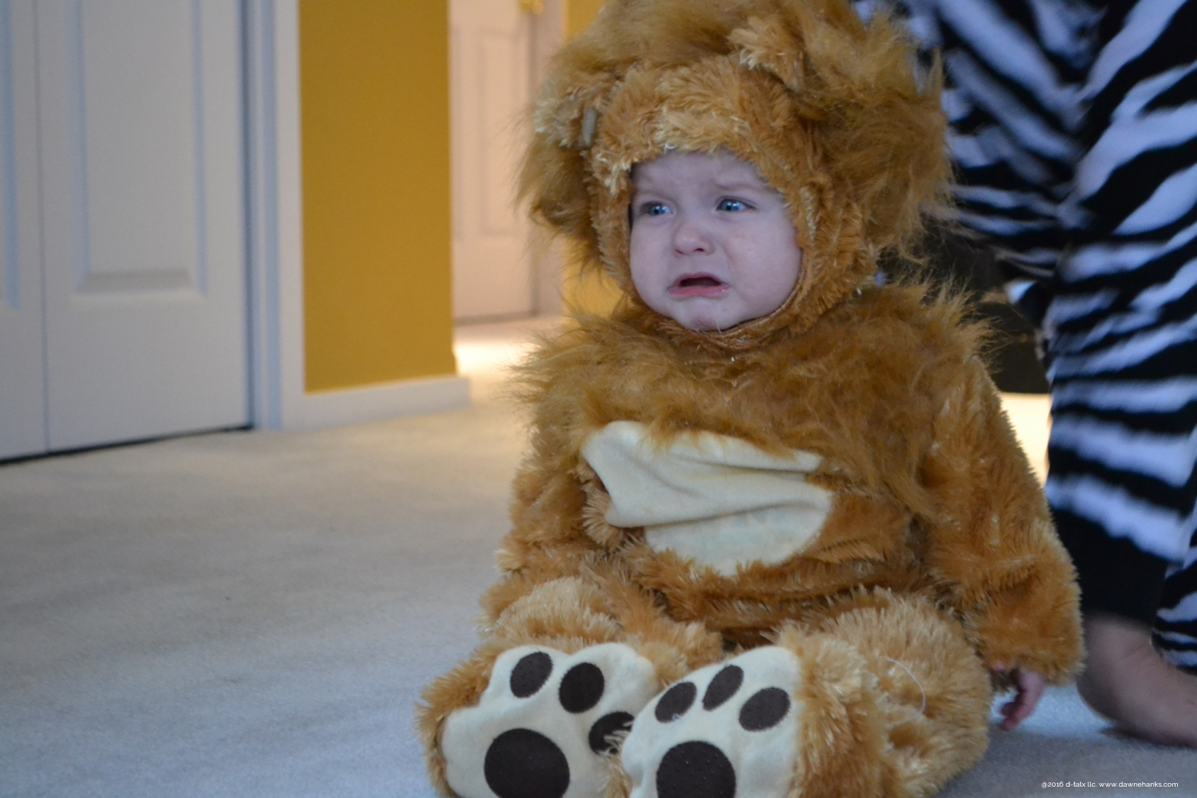 Even the strongest lions need to cry every once in awhile