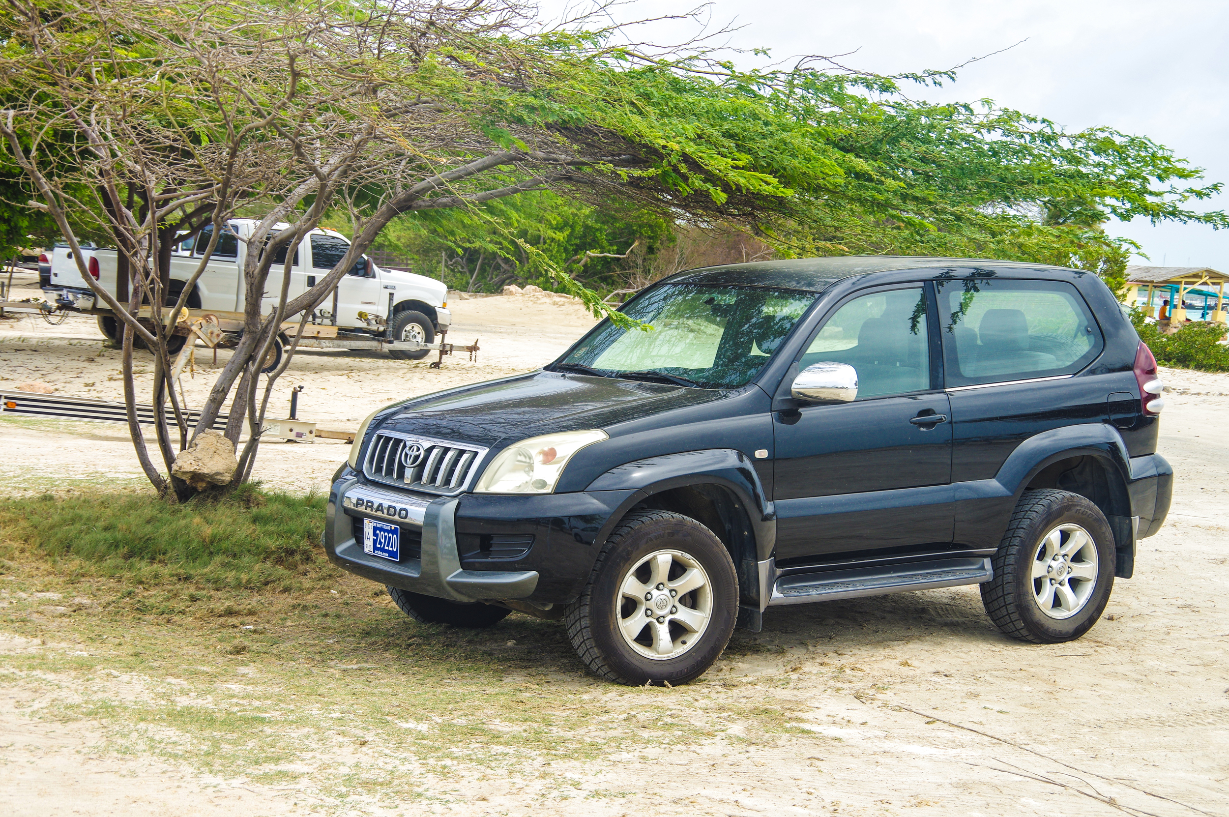 jdm cars in aruba