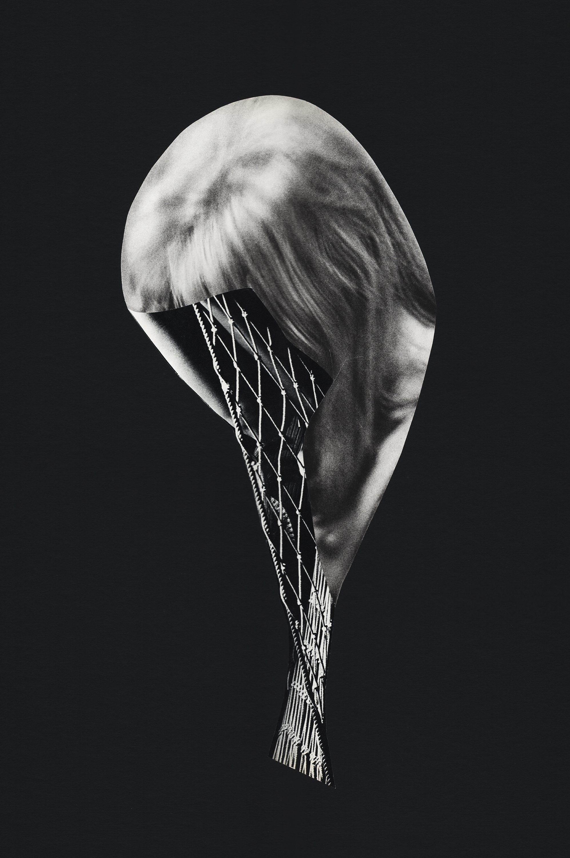 Pain