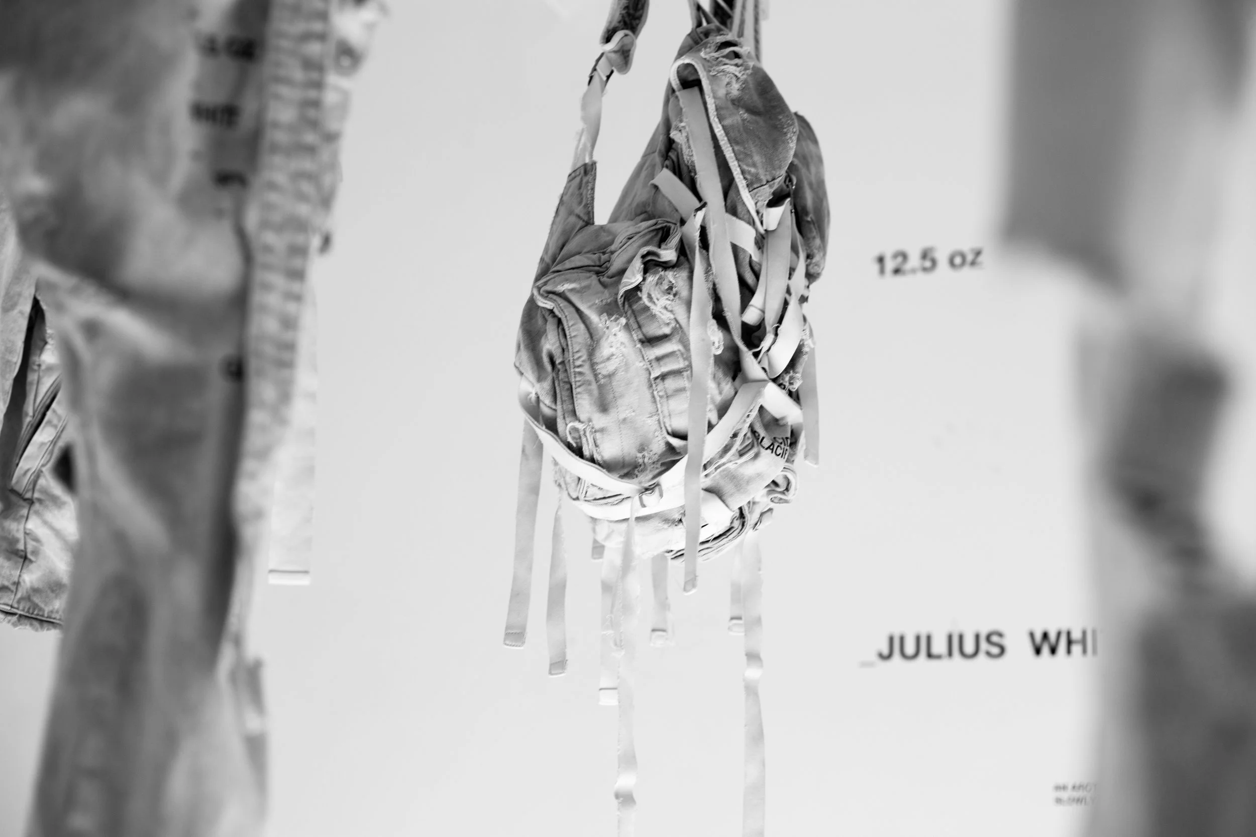 Julius (27 of 91).jpg