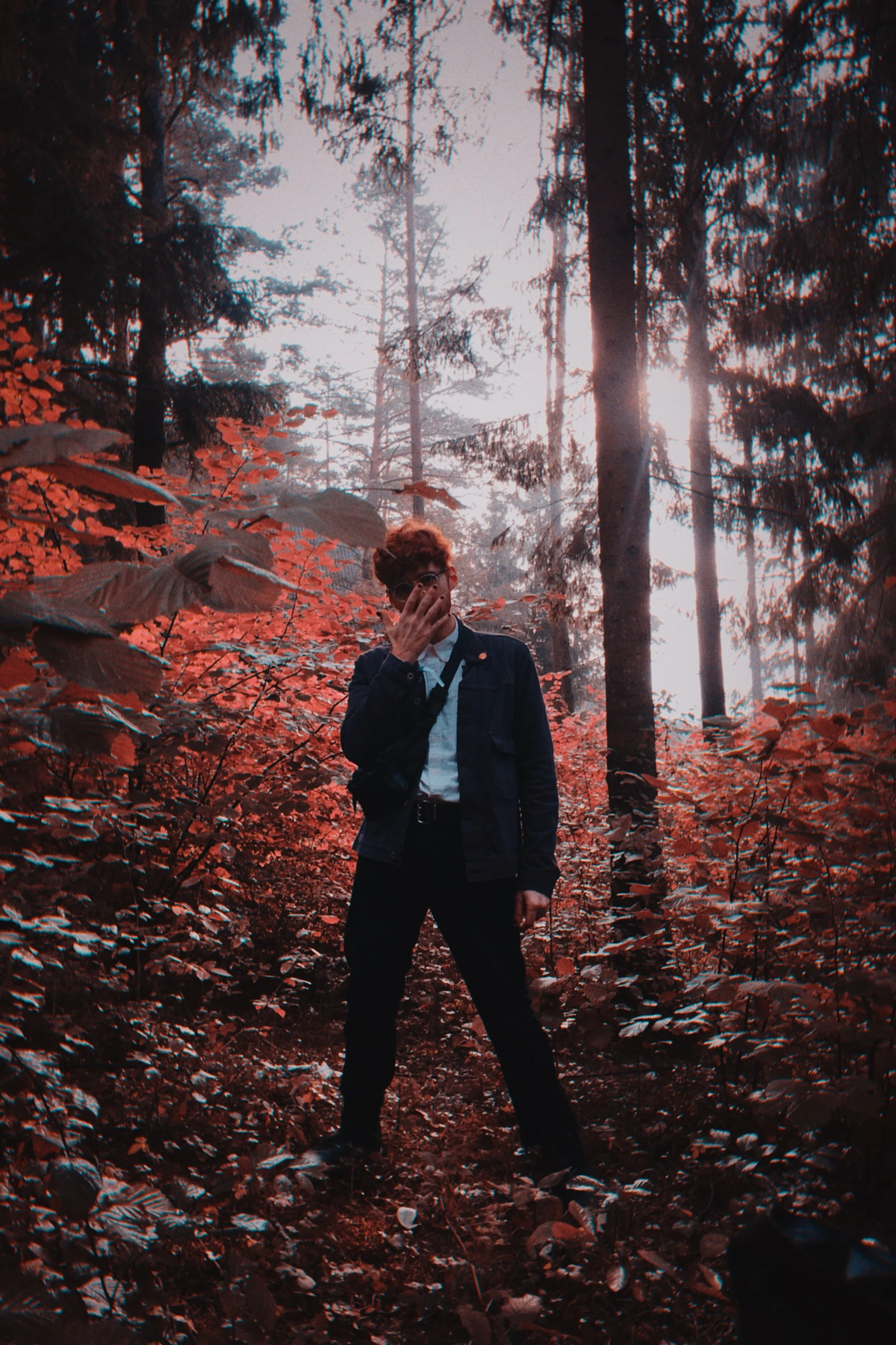 Photo by Elena Plugina