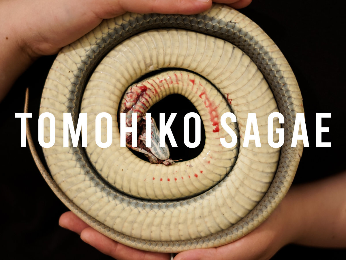 02-tomohiko-sagae-inner.jpg