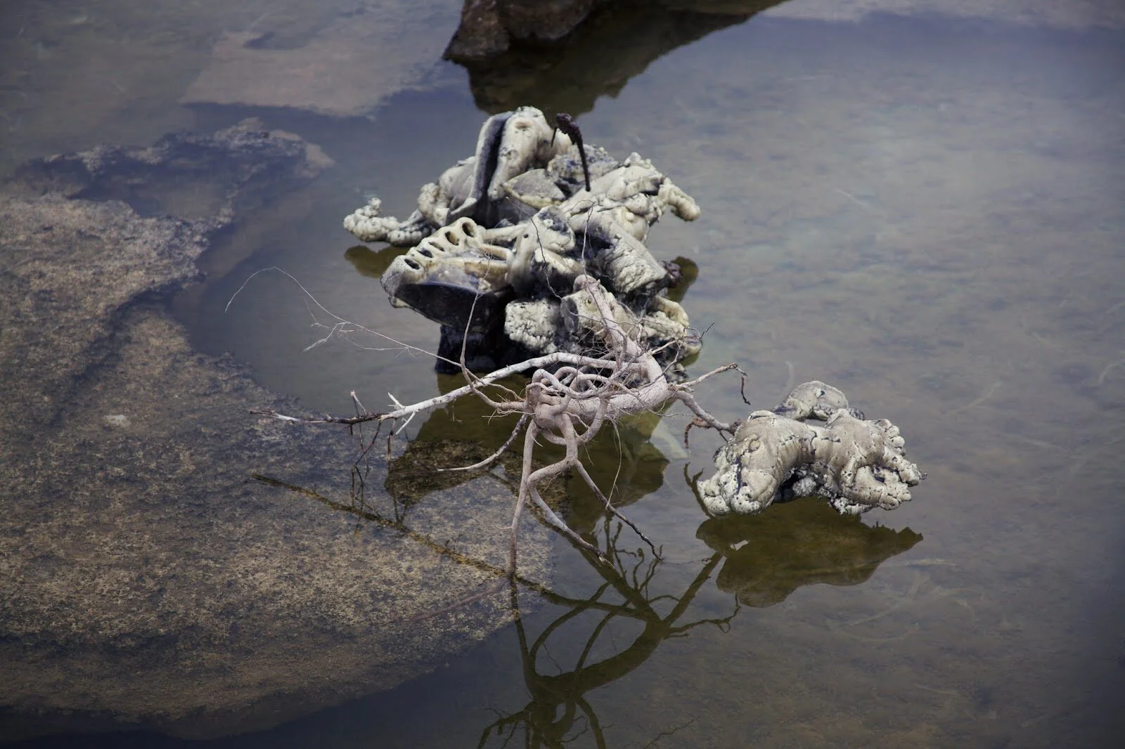 GIULIA CENCI (C) GIULIA CENCI.jpg