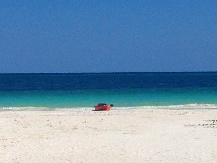 06 boat_1066.jpg