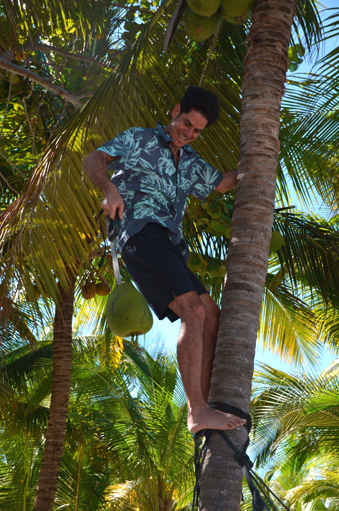 coconut Juan.jpg