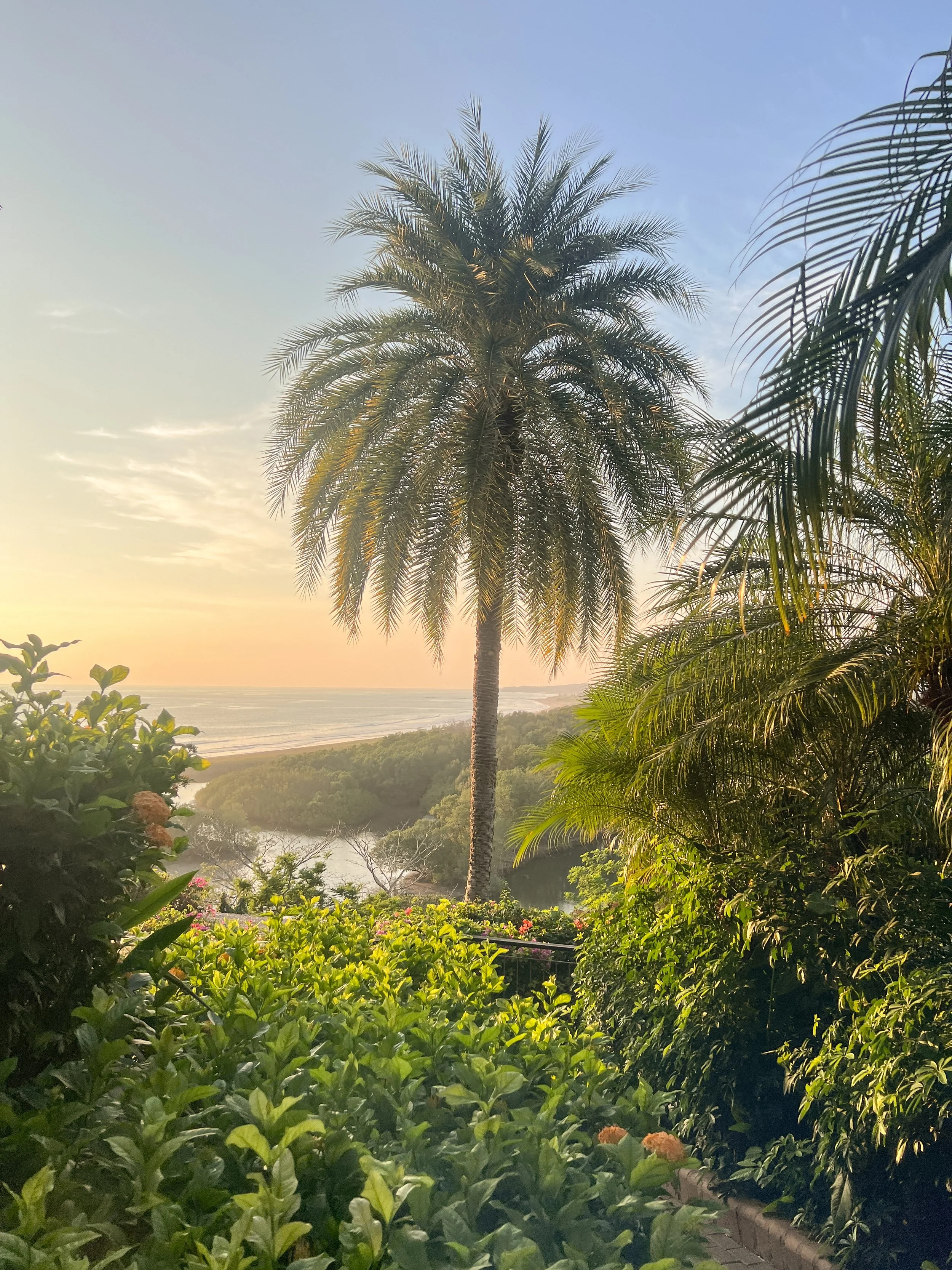 Nosara, Costa Rica with Kids: Where to Stay, Eat &amp; Things to Do