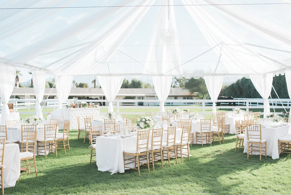 PalmSpringsWedding|ScottsdaleWeddingPhotographer|PhoenixWeddingPhotographer|www.marisabellephotography.com-174.jpg
