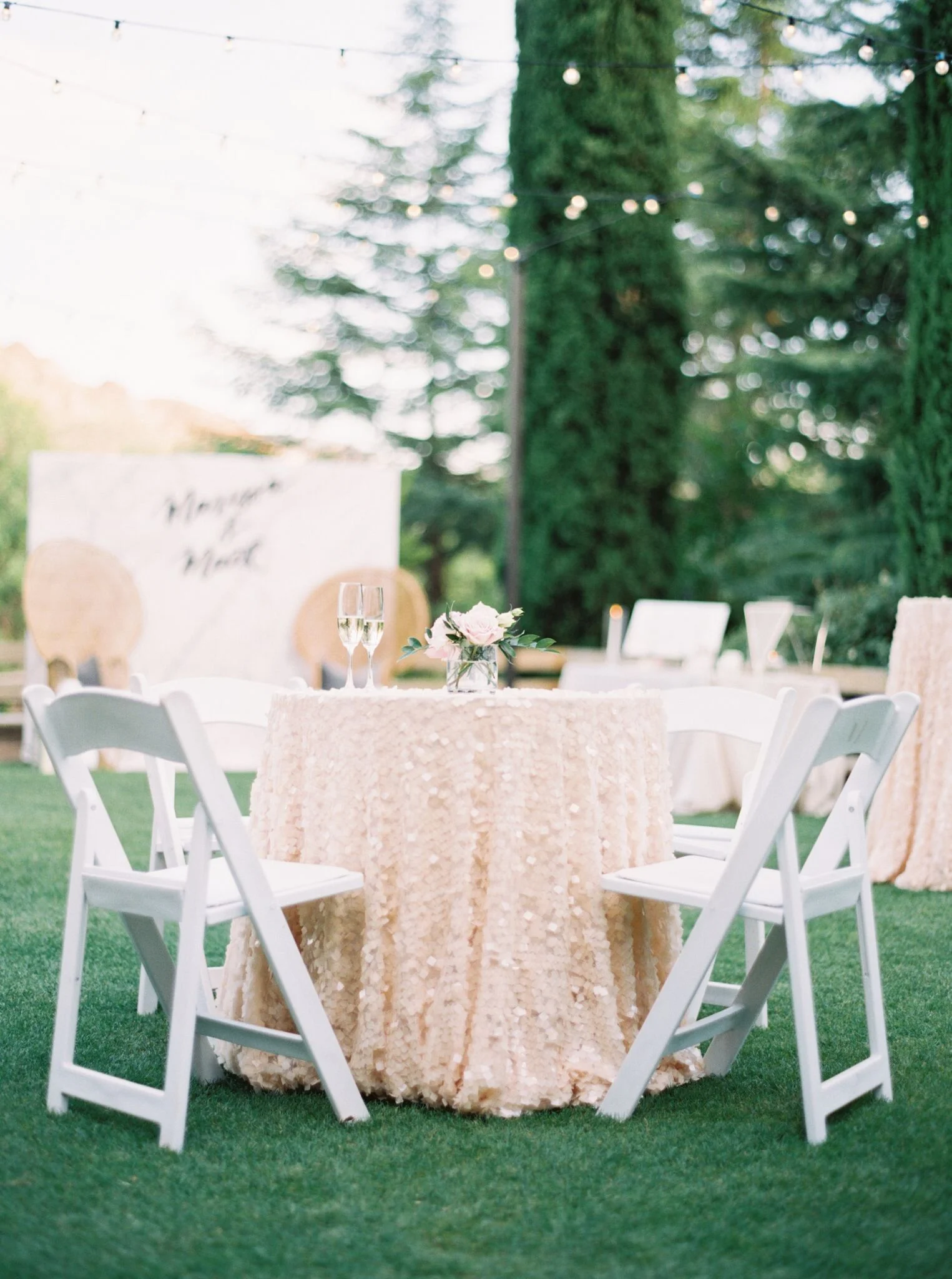 MaryClairePhotography-803_preview.jpg