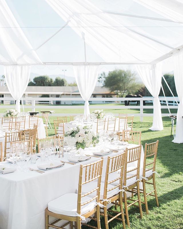 Can we have sparkly gold chairs at every wedding?! The dreamiest details ✨ Photography: @marisabellephotography
Design and Coordination @detailsdarling 
Flowers: @thebloomoftime 
Rentals: @sigpartyrentals 
Linens: @latavolalinen 
Catering &amp; Cake: