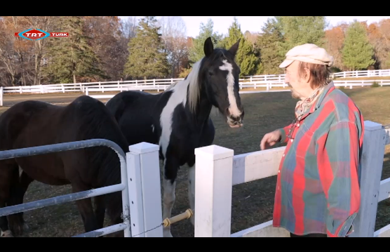 Screen Shot 2015-02-12 at 10.49.37 PM.png