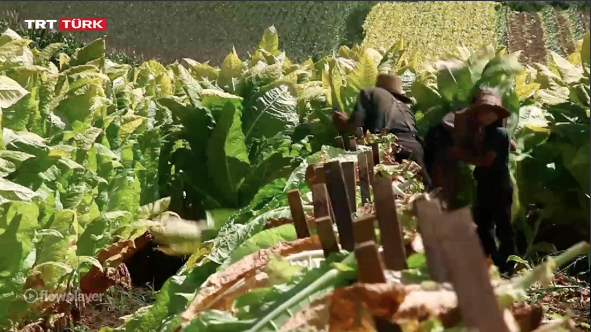 Screen Shot 2016-01-25 at 10.31.12 PM.png