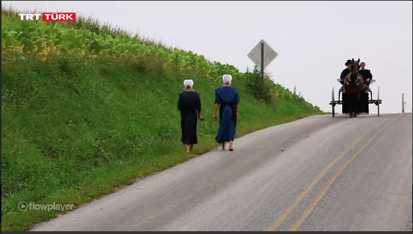 Screen Shot 2016-01-25 at 10.31.50 PM.png