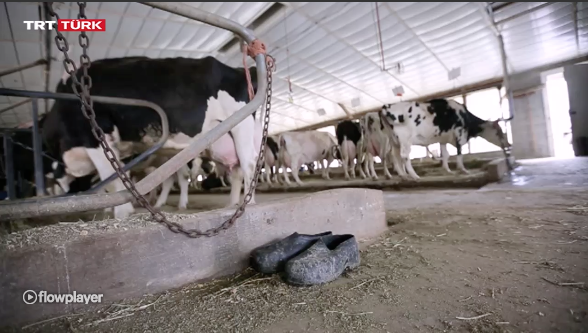 Screen Shot 2016-01-25 at 10.39.13 PM.png