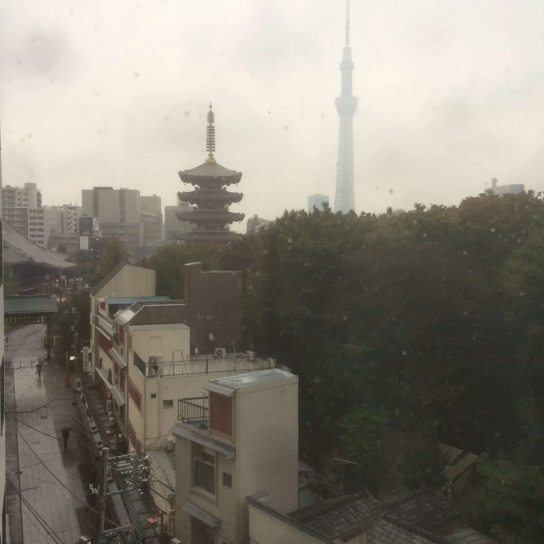 Peaceful moment before class in Japan.