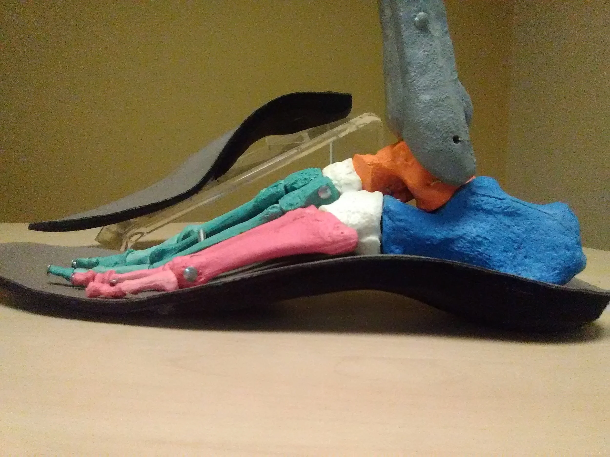 An orthotic with total contact, moves with the body and utilized the windlass mechanism. The contact is emphasized to promote proprioception of the foot.