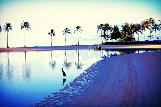 Travel photo from a Jetset trip. Yes we used our points!