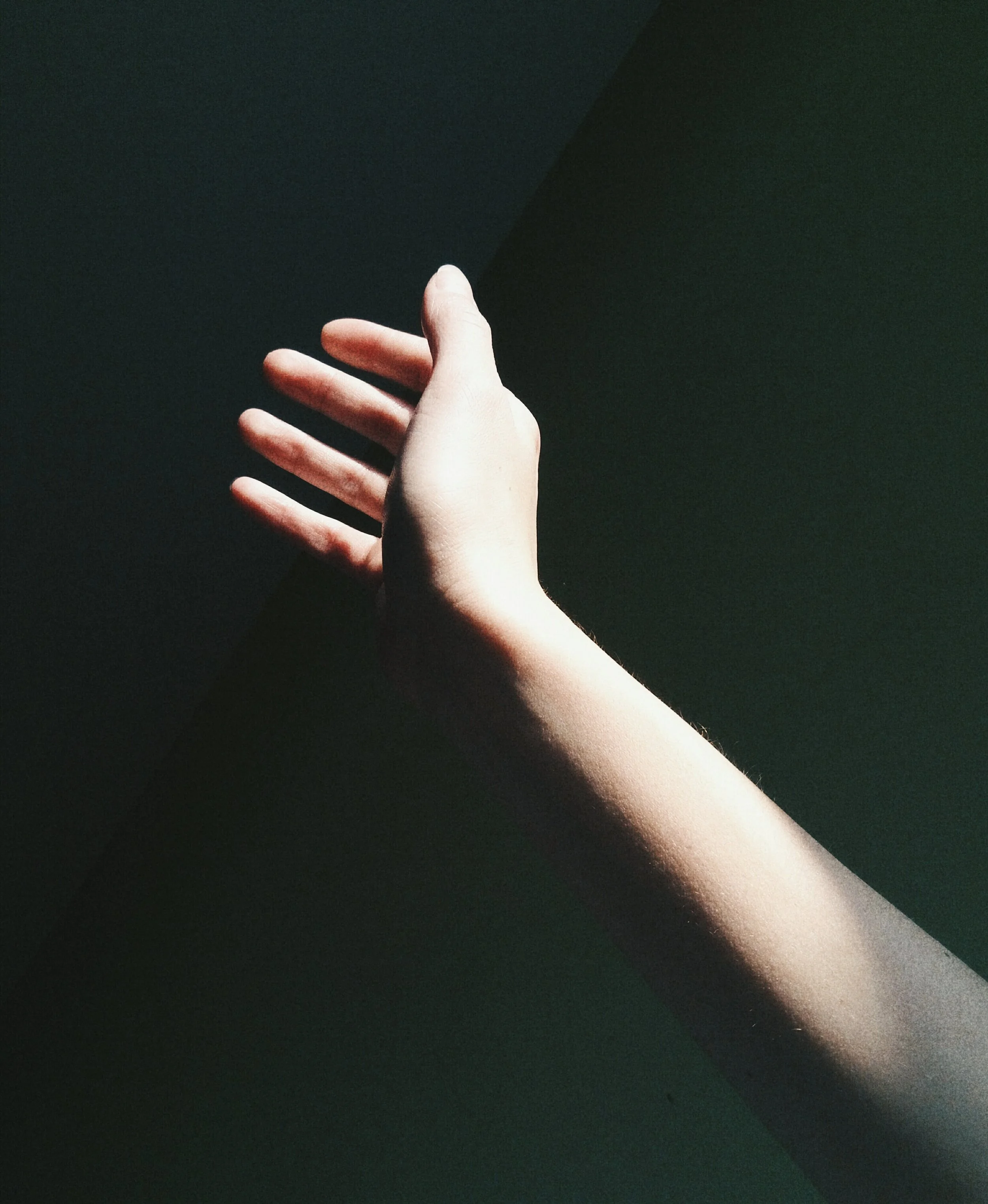 alina-kovalchuk-D8QZIxyL2eY-unsplash.jpg