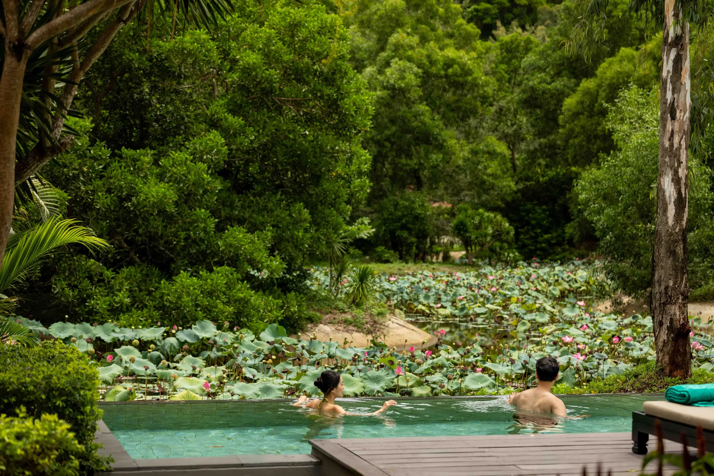 bt-langco-lotus.webp
